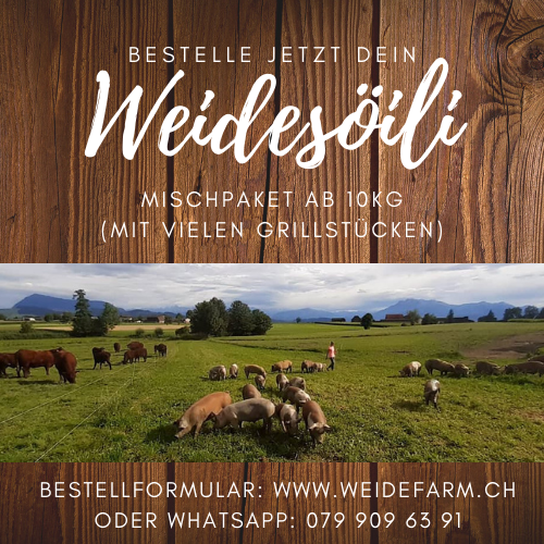 Fleisch vom Weideschwein