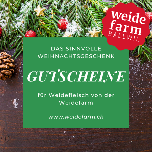 Weihnachtsgeschenk Gutschein