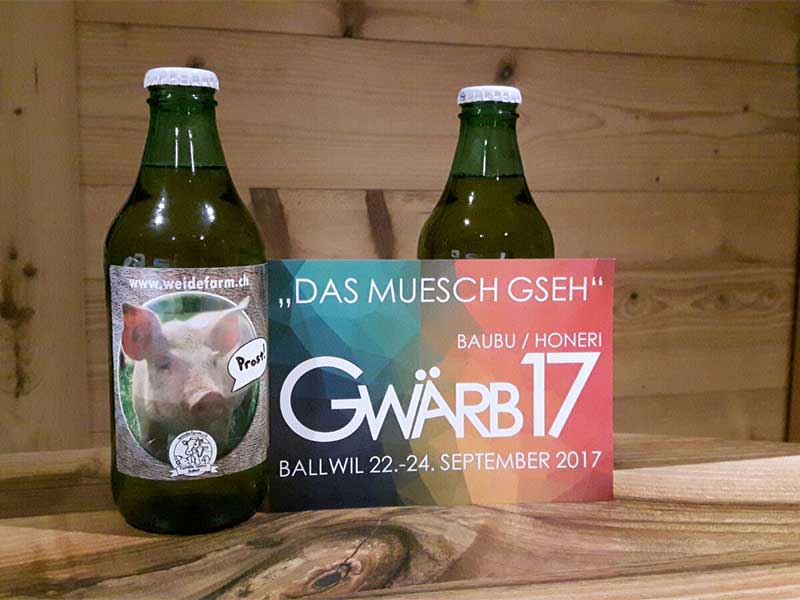 Logo Gwärb17